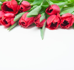 Bouquet of red tulips on a white background