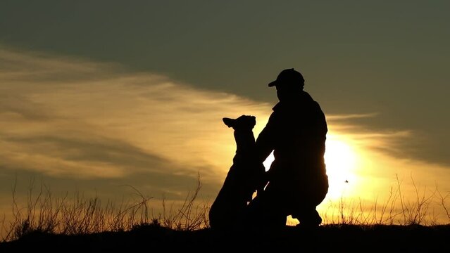 Silhouettes of  man and dog on sunset background, the dog runs into the arms of the owner, the man strokes the dog Belgian Shepherd Malinois