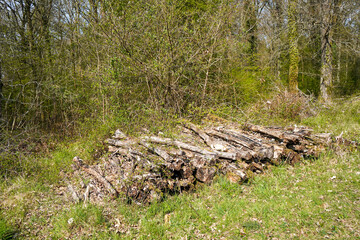 Fototapeta na wymiar Close up of and old pile of logs in woodland
