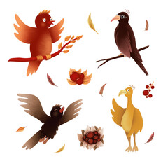 set of birds and feathers
