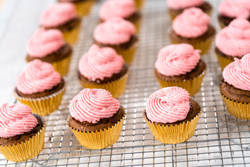 Chocolate raspberry cupcakes