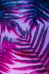 Fern plant in neon light. Minimalism retro style concept. Vertical image