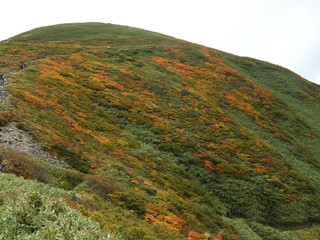 月山の紅葉
