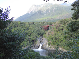 屋久島トローキの滝