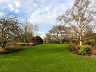 Fototapeta na wymiar English winter garden with green grass and cloudy sky, the subject is out of focus