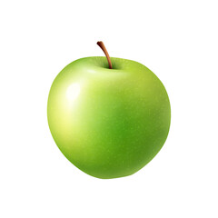 Apple Realistic Illustration
