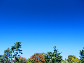 日本、東京都、秋晴れの空