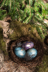 Happy Easter 2022. A postcard with a copy of the place for the text. Purple, blue and golden eggs in a nest on a natural forest background. Top view.