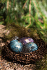 Happy Easter 2022. A postcard with a copy of the place for the text. Purple, blue and golden eggs in a nest on a natural forest background. Top view.
