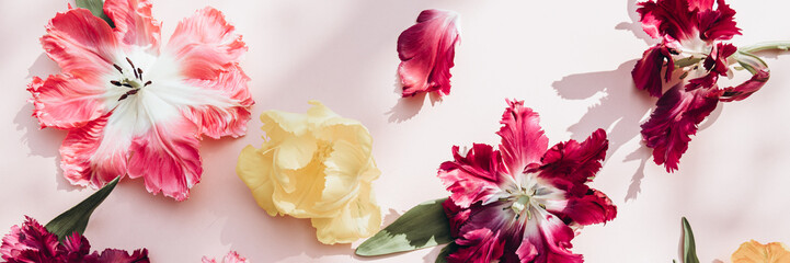 Obraz na płótnie Canvas Bunch of Parrot Style Tulips
