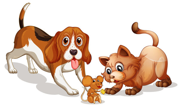 Beagle dog and cat cartoon on white background