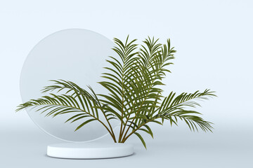 Minimal geometric scene with round podium and green tropical palm tree isolated on white background. Geometric shapes. 3d rendering. Scene with pedestal and clean background
