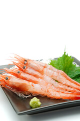甘海老の刺身