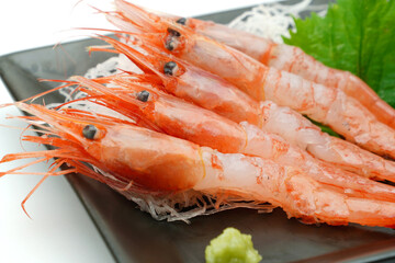 甘海老の刺身