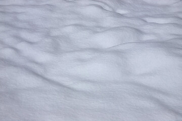 Fototapeta premium Beautiful winter background with snowy ground. Natural snow texture. Wind sculpted patterns on snow surface