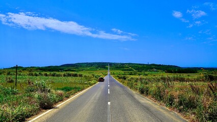 昼下がりの奄美群島喜界島のシュガーロード