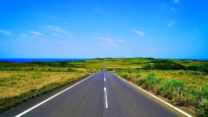 海が見える昼下がりの奄美群島喜界島のシュガーロード