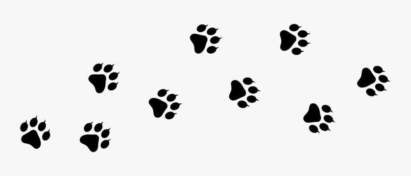 animal footprints design in silhouette with creative concept isolated on white background. premium vector animal footsteps illustration