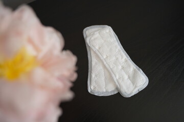 women's daily pads next to a flower on a black background