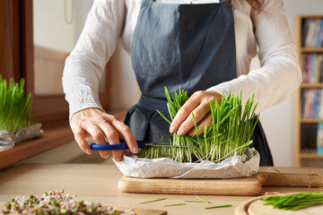 Woman cutting homegrown barley grass