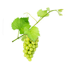bunch of green grapes