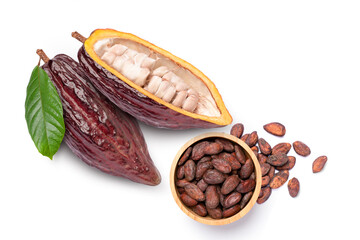 Cocoa pods and cocoa beans - chocolate basis isolated on a white background
