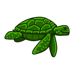 Hand drawn turtle cartoon character illustration Animal.