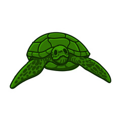 Hand drawn turtle cartoon character illustration Animal.