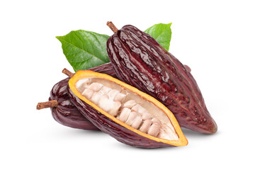 Group of red cocoa fruit with cut in half slice and green leaf isolated on white background.