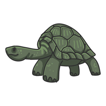 Hand drawn turtle cartoon character illustration Animal.