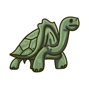Hand drawn turtle cartoon character illustration Animal.
