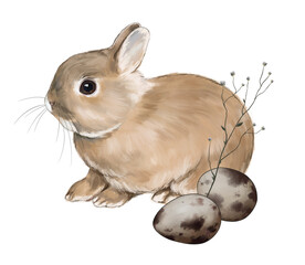 animal and nature sketch cute little fluffy rabbit among field plants and quail eggs digital drawing 4