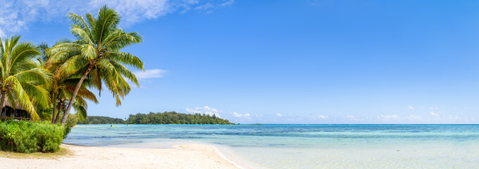 Beach panorama on a tropical island with palm trees
