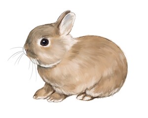 animal and nature sketch cute little fluffy rabbit digital drawing 1