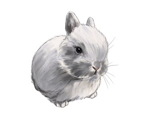 animal and nature sketch cute little fluffy rabbit digital drawing 4