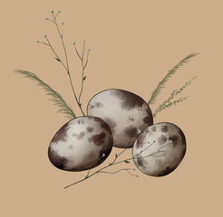 nature sketch small spotted quail eggs among field plants digital drawing 1