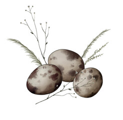 nature sketch small spotted quail eggs among field plants digital drawing 2