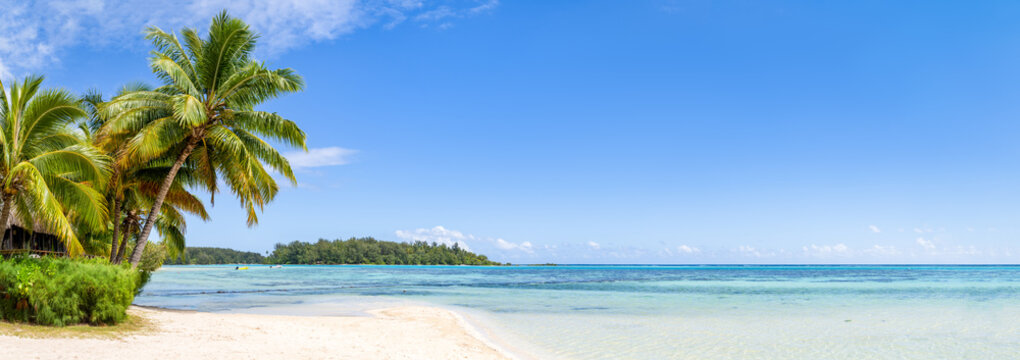Beach panorama on a tropical island with palm trees