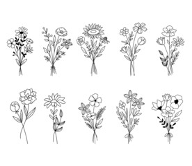 Vector sketch illustration of bouquet of flowers. Set of wildflowers in doodle style isolated on white background. Spring or summer outline cute bouquets collection