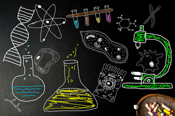 Fun biology sketches on blavkboard school.