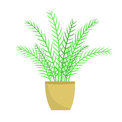 Home plant in a pot. Vector illustration isolated on white background.