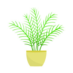 Home plant in a pot. Vector illustration isolated on white background.