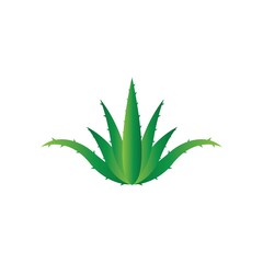 Aloe vera logo vector ilustration template