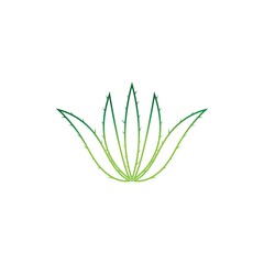Aloe vera logo vector ilustration template
