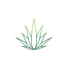 Aloe vera logo vector ilustration template