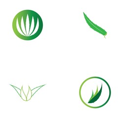 Aloe vera logo vector ilustration template