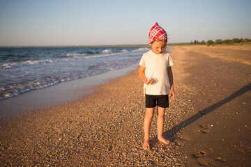 child collects seashells in summer on sunny evening on beach outdoor. vacation with kids