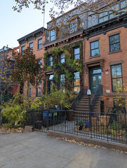Row of red brick apartment buildings wall of brownstone covered by green ivy and plants in...