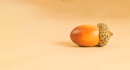 Minimalistic photo painting pattern with acorn in trendy brown - beige color with an autumn motif