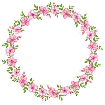Watercolor round cherry blossom wreath on white background
